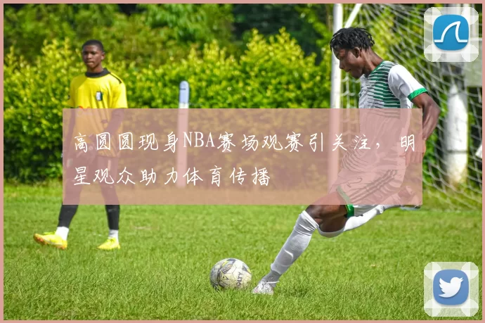 高圆圆现身NBA赛场观赛引关注，明星观众助力体育传播