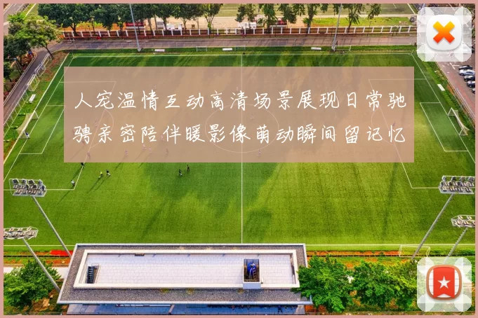 人宠温情互动高清场景展现日常驰骋亲密陪伴暖影像萌动瞬间留记忆长